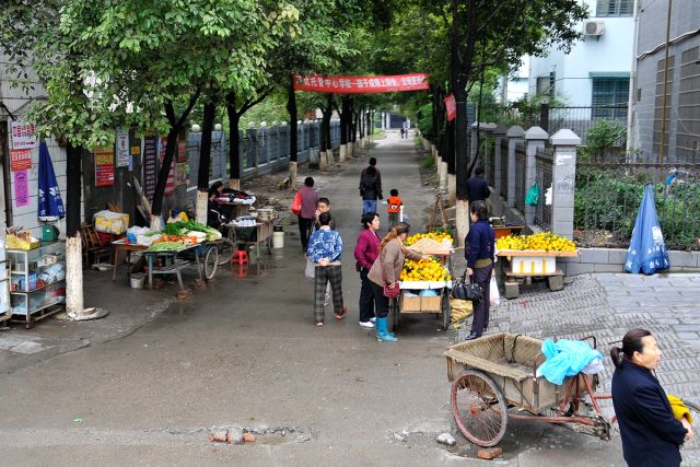 zhangjiajie (11)