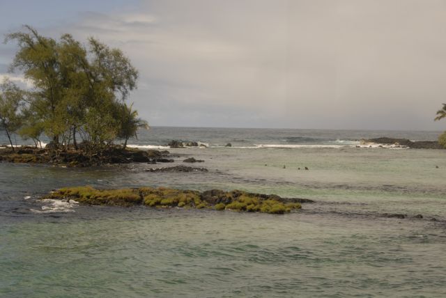 hilo (103)