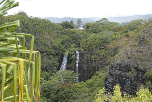 kauai (65)