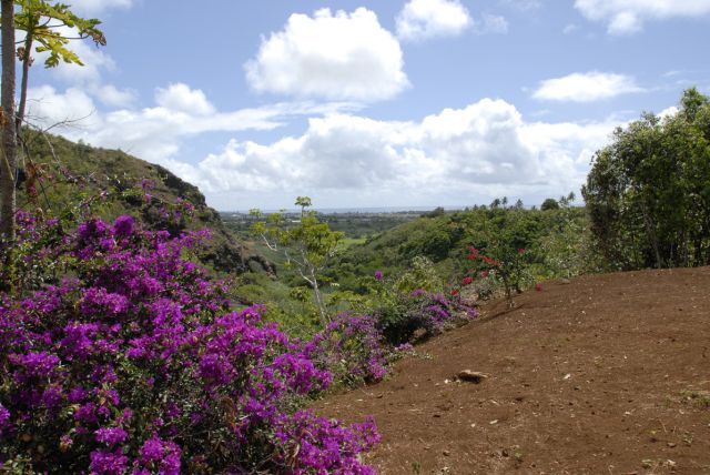 kauai (70)